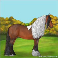 Horse Color:Bay Tobiano 