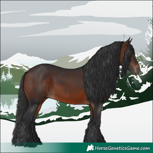 Horse Color:Brown 
