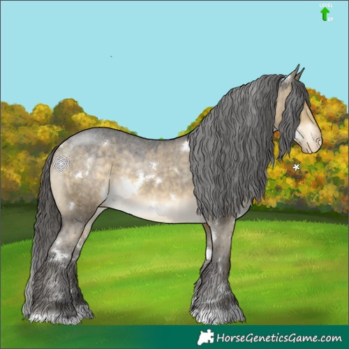Horse Color:White Spotted Buckskin Dun Appaloosa 