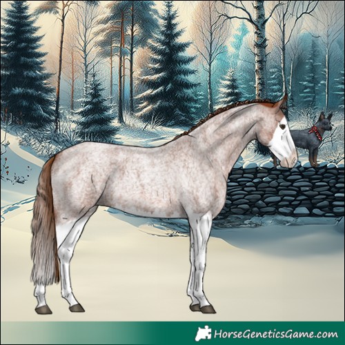Horse Color:Red Roan Splash 