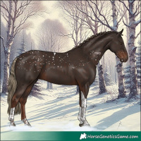 Horse Color:Liver Chestnut Tobiano 
