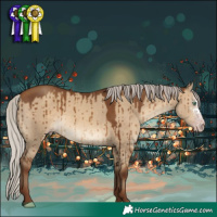 Horse Color:Gray Silver Sable Champagne Dun Sabino Brindle 