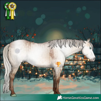 Horse Color:Gray Silver Sable Champagne Dun Sabino Brindle