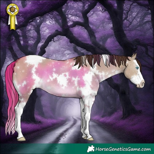 Horse Color:White Spotted Liver Red Dun Splash 