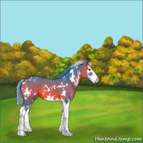 Horse Color:Watercolor White Spotted Bay Splash 