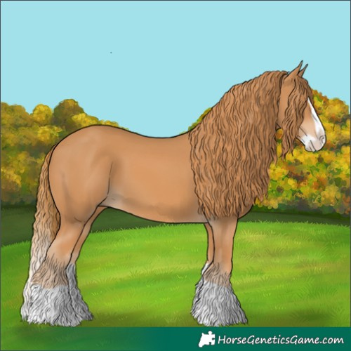 Horse Color:Chestnut Splash 