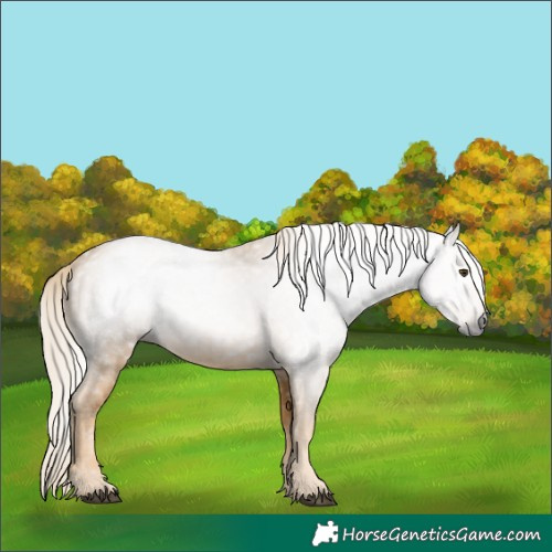 Horse Color:Gray Palomino 