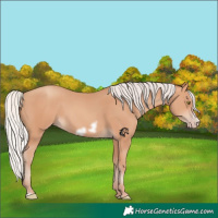 Horse Color:Silver Amber Champagne Frame