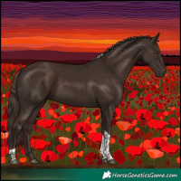 Horse Color:Liver Chestnut Tobiano 