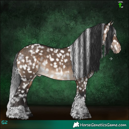 Horse Color:Bay Dun Tobiano Snowflake Varnish 