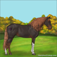Horse Color:Liver Chestnut Tobiano 