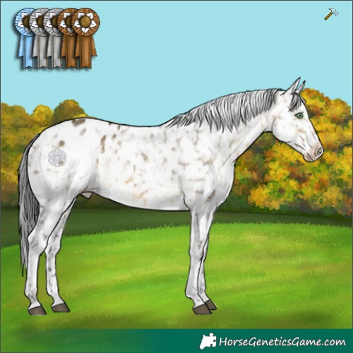 Horse Color:White Spotted Buckskin Dun Blanket 