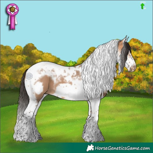 Horse Color:Bay Dun Splash Tobiano Frame 