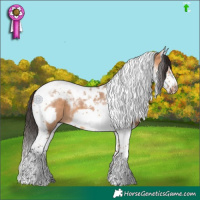 Horse Color:Bay Dun Splash Tobiano Frame 