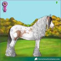 Horse Color:Bay Dun Splash Tobiano Frame 