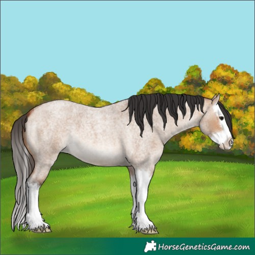 Horse Color:Bay Roan Dun Splash 