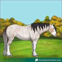 Horse Color:Bay Roan Dun Splash 