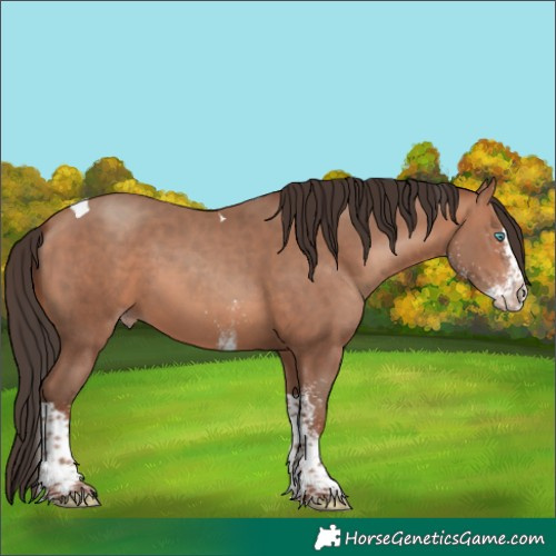 Horse Color:White Spotted Sable Champagne Splash Tobiano 