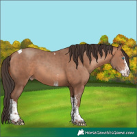 Horse Color:White Spotted Sable Champagne Splash Tobiano 