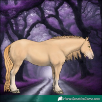 Horse Color:Gold Champagne 