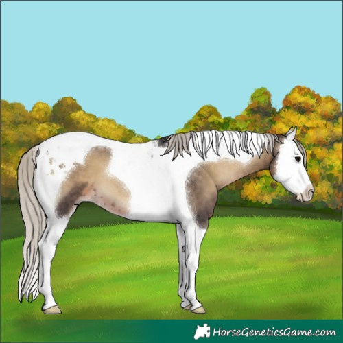 Horse Color:Silver Smoky Blue Onyx Splash Tobiano 
