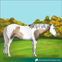 Horse Color:Silver Smoky Blue Onyx Splash Tobiano 