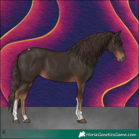 Horse Color:Liver Chestnut Tobiano 