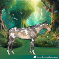 Horse Color:White Spotted Buckskin Appaloosa Rabicano 