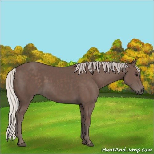 Horse Color:Silver Black 