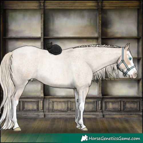 Horse Color:Chocolate Palomino Roan Pearl Splash 
