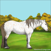 Horse Color:Buckskin Roan Tobiano Near Leopard 