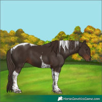 Horse Color:Liver Chestnut Tobiano 