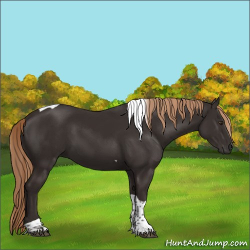 Horse Color:Liver Chestnut Tobiano 