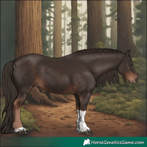 Horse Color:Liver Chestnut Tobiano