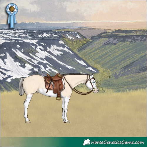 Horse Color:Buckskin Dun Splash 