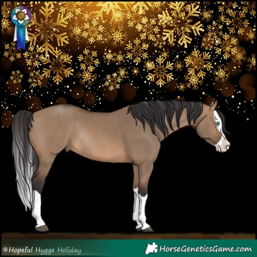 Horse Color:Brown Dun Splash Rabicano 