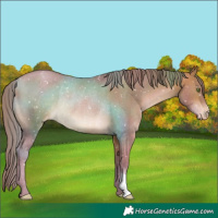 Horse Color:Watercolor Chocolate Bay Pearl Appaloosa Rabicano 