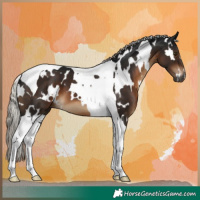 Horse Color:Gray White Spotted Silver Brown Tobiano