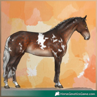 Horse Color:White Spotted Silver Brown
