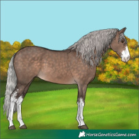 Horse Color:Silver Brown Dun Mushroom Sabino 