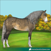 Horse Color:Silver Buckskin Dun Sabino