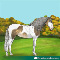 Horse Color:Silver Buckskin Dun Splash Tobiano 