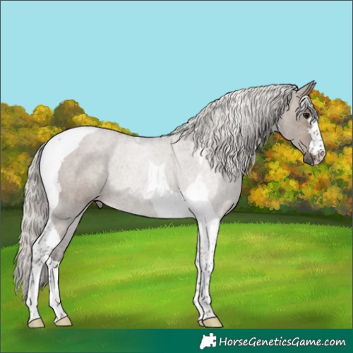 Horse Color:Silver Grullo Tobiano 