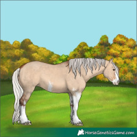 Horse Color:Silver Brown Dun Sabino 