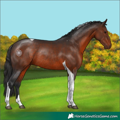 Horse Color:Brown Tobiano Rabicano 