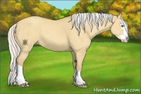 Horse Color:Silver Amber Cream Champagne Dun Splash 
