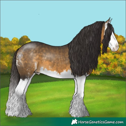 Horse Color:Buckskin Sabino Splash 