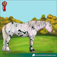 Horse Color:Watercolor White Spotted Silver Buckskin Ice Dun Rabicano