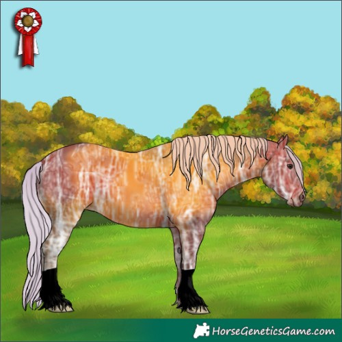 Horse Color:Silver Bay Ice 