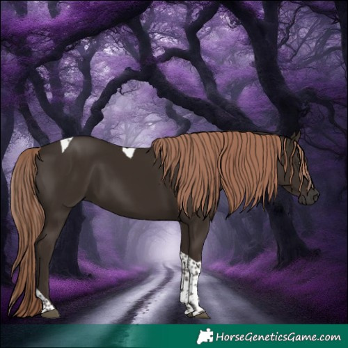 Horse Color:Liver Chestnut Tobiano 